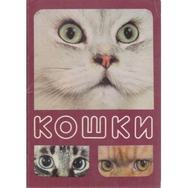 Кошки