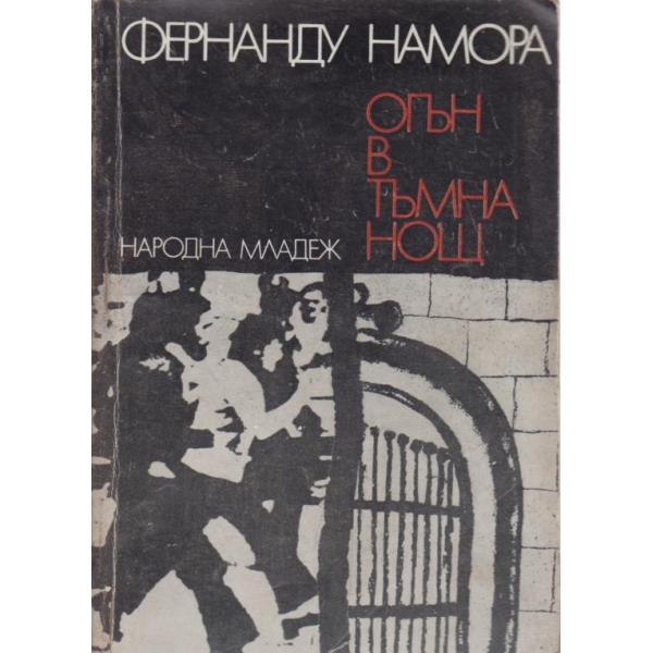 Огън в тъмна нощ