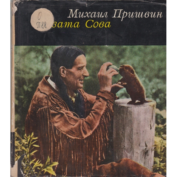Сивата сова