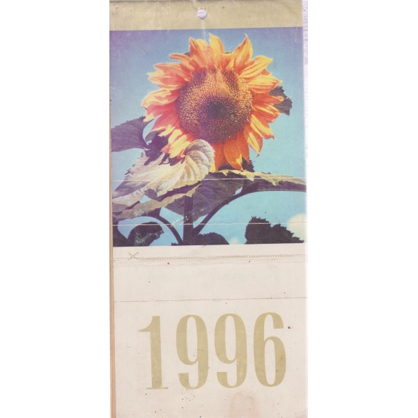 1996-календар