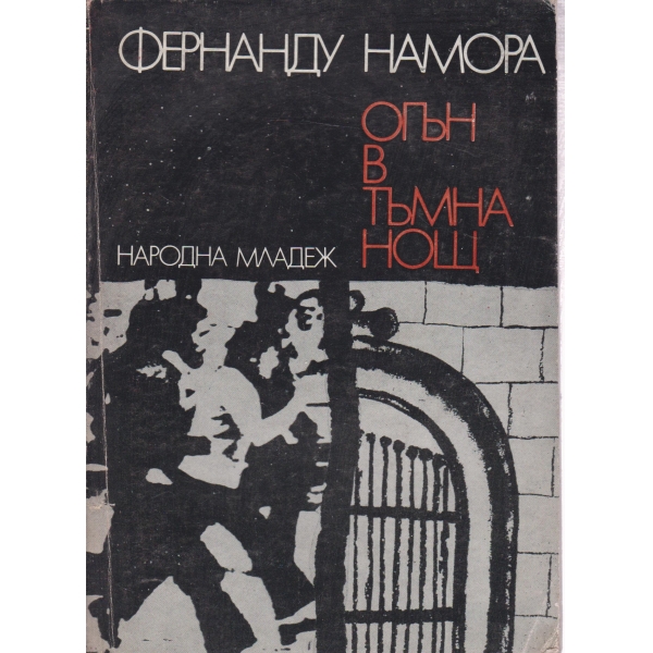 Огън в тъмна нощ
