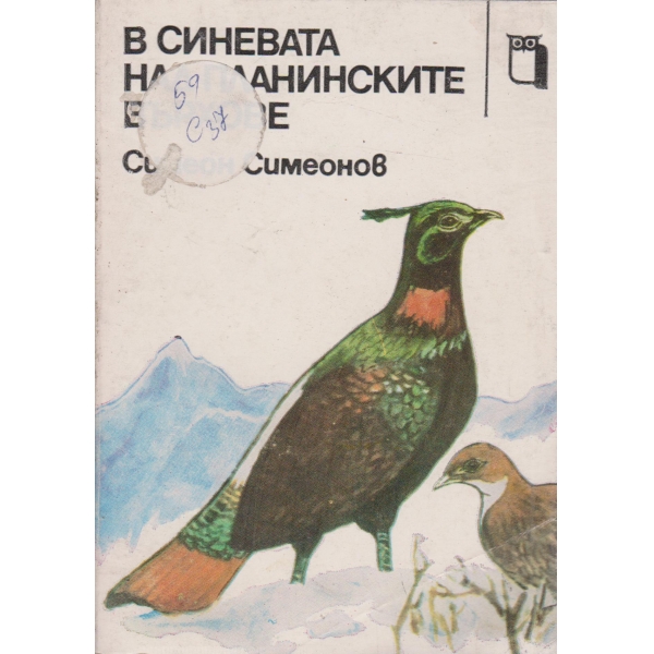 В синевата над планинските върхове