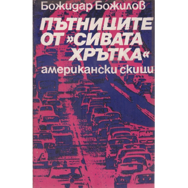 Пътниците от "Сивата хрътка"