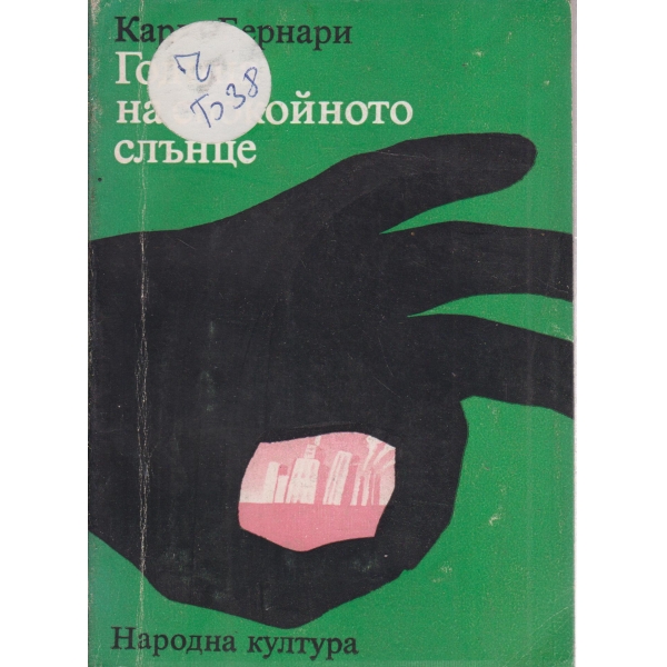 Година на спокойното слънце