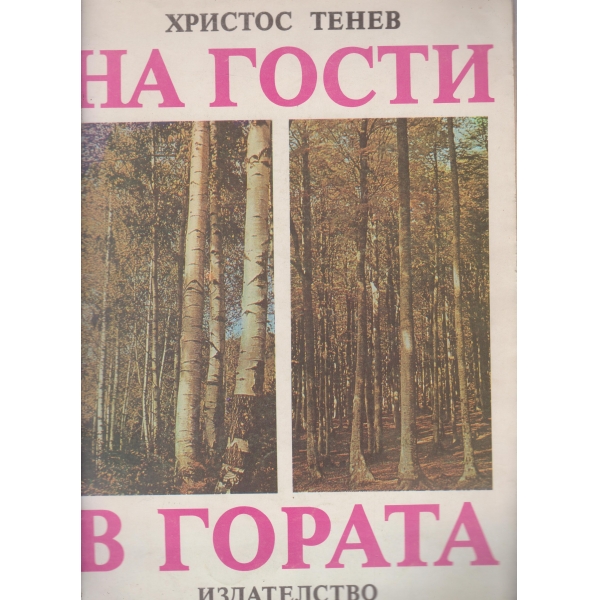 На гости в гората