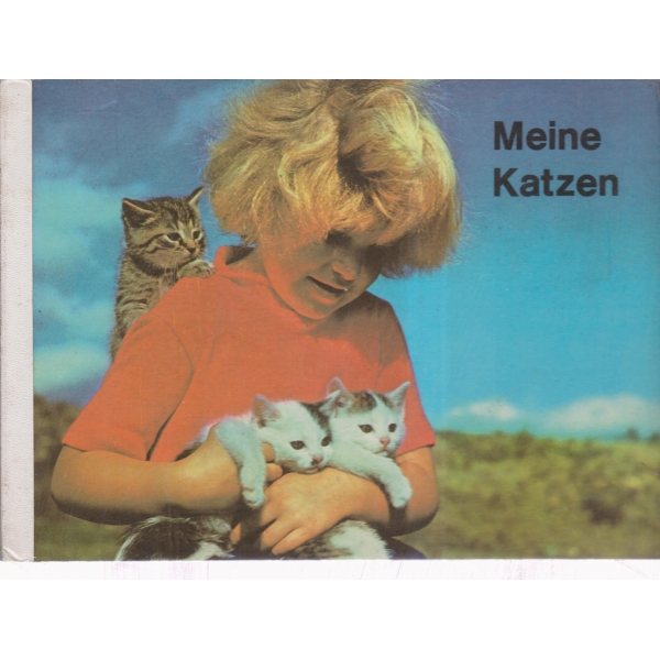 Meine Katzen