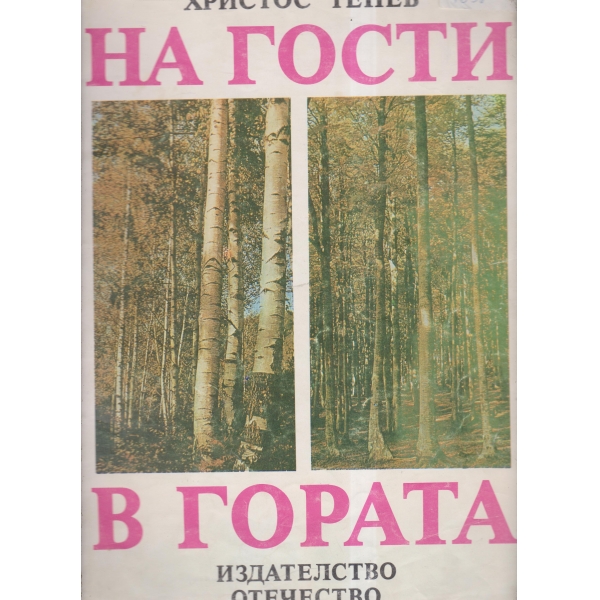 На гости в гората