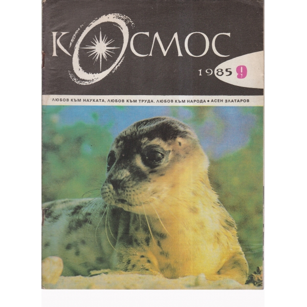 Космос-9-85
