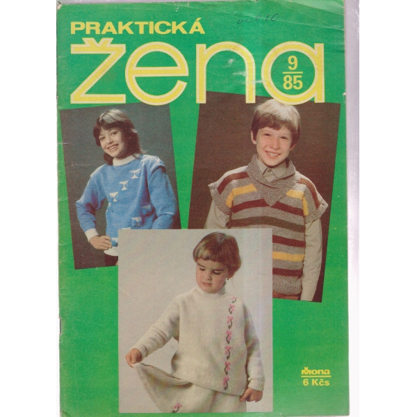 Praktiska zena-9-85