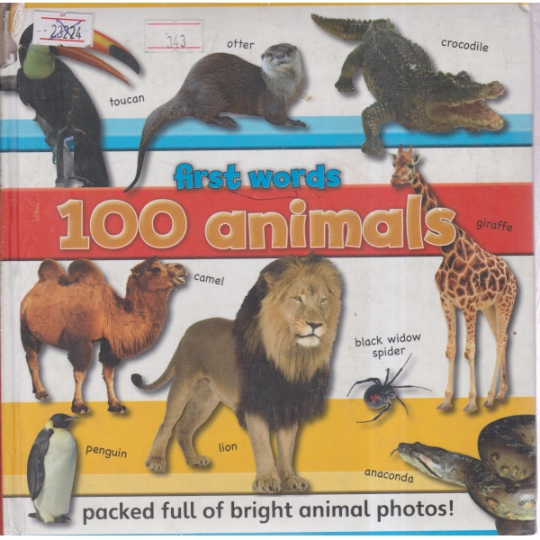 100 animals