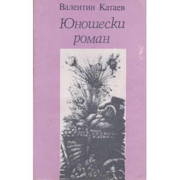 Юношески роман