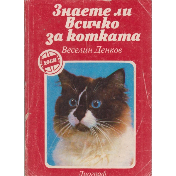 Знаете ли всичко за котката