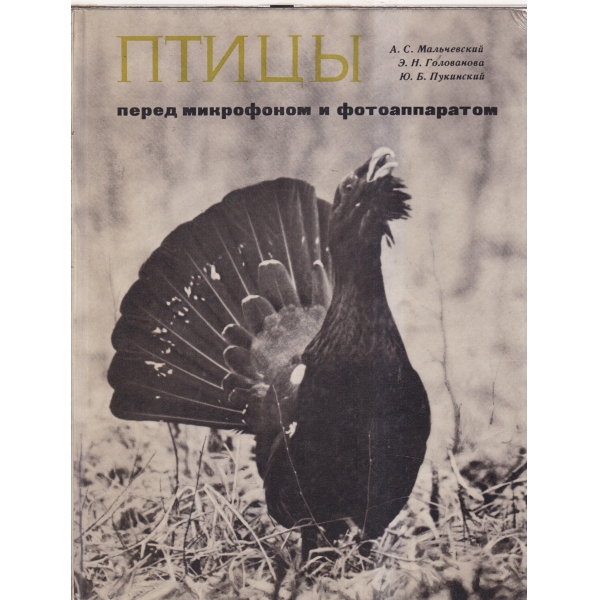 Птицьи-перед микрофоном и фотоаппаратом